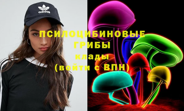 дурь Алексеевка