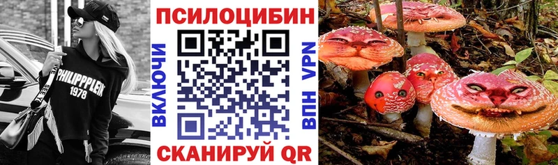 купить наркотики цена  Саянск  Галлюциногенные грибы MAGIC MUSHROOMS 