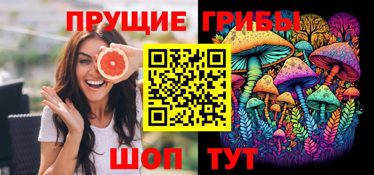 Саянск  Псилоцибиновые грибы ЛСД  Вход с VPN  Псилоцибиновые грибы Psilocybine cubensis 
